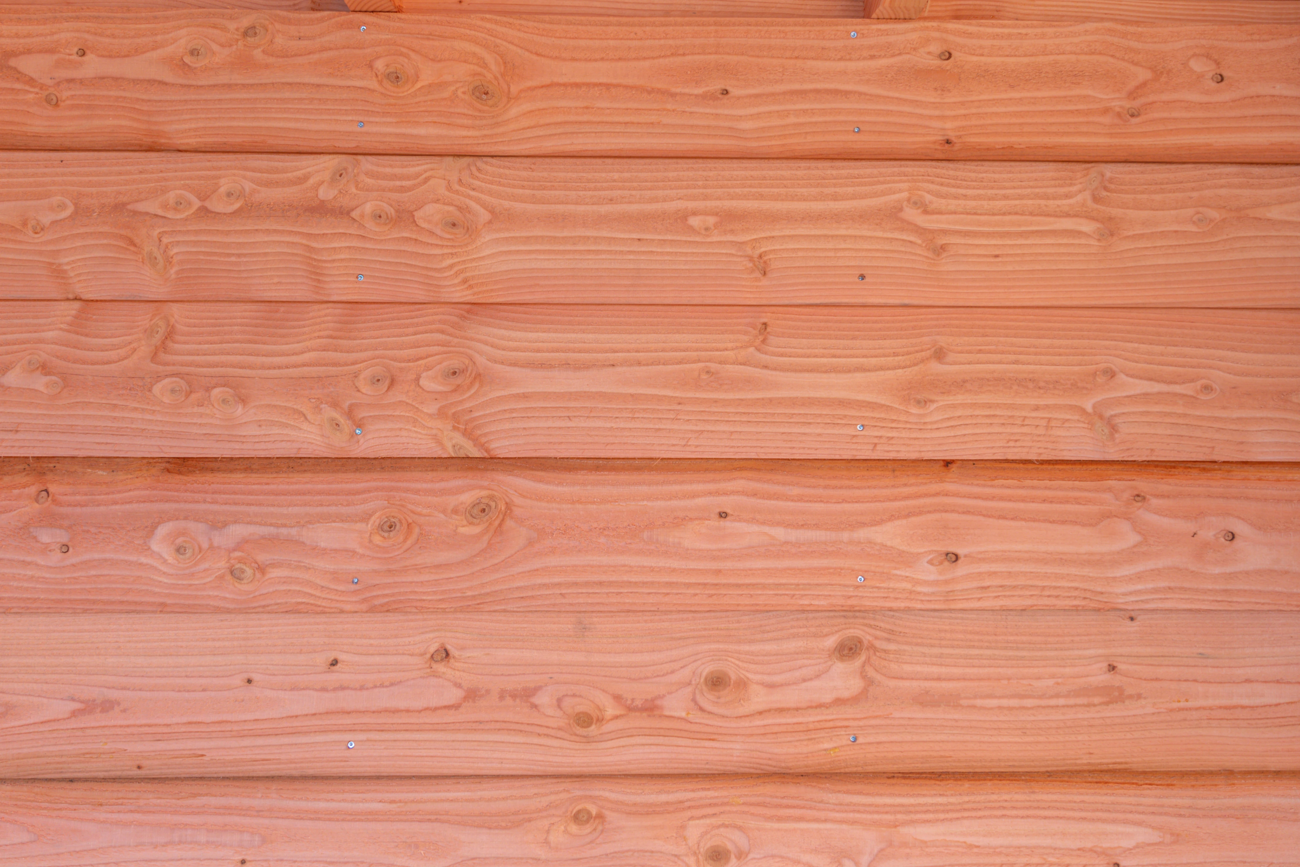 Douglas Zweeds rabat 2.7 x 19.5 cm (27 x 195 mm) - Lengte 300 cm - Afbeelding 8